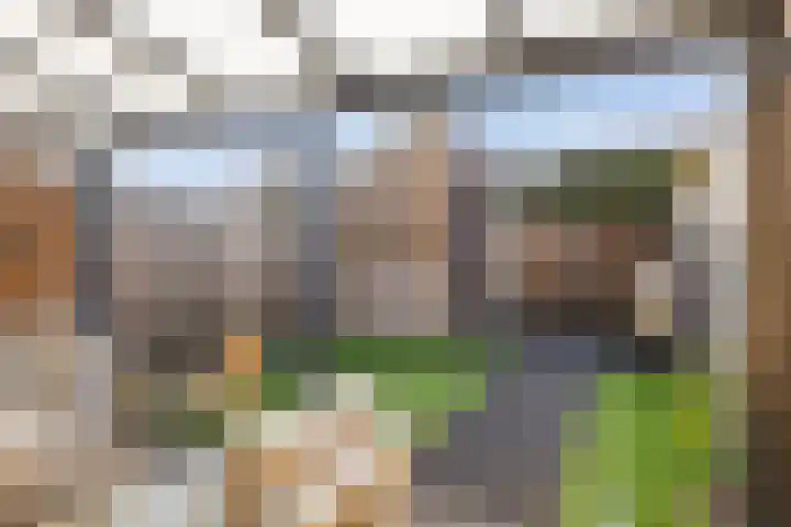 Hadewychstraat 32 Heesch thumbnail 39
