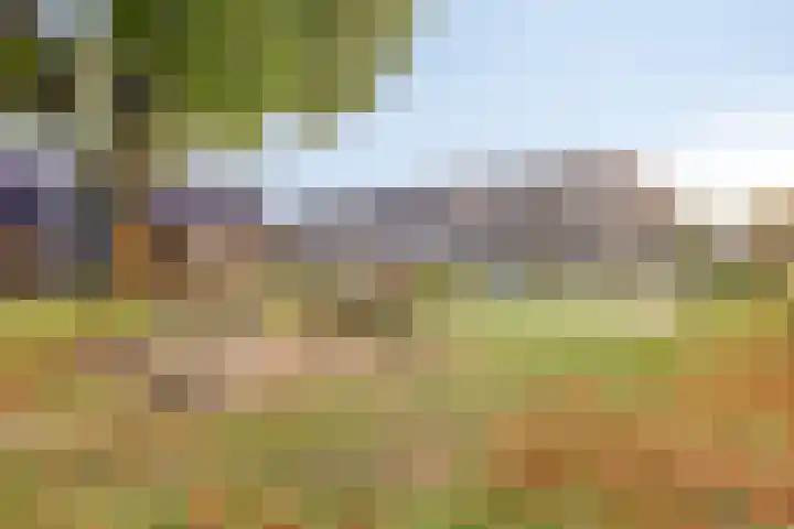 Hadewychstraat 36 Heesch thumbnail 35