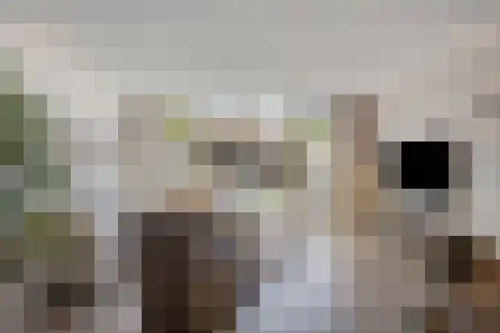 Hadewychstraat 36 Heesch thumbnail 9