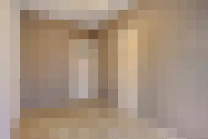 Hadewychstraat 44 's-Hertogenbosch thumbnail 16