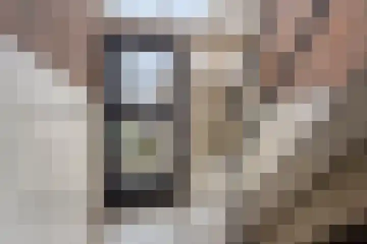 Hadewychstraat 44 's-Hertogenbosch thumbnail 19