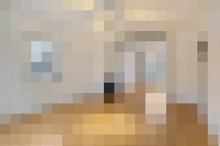 Hadewychstraat 44 's-Hertogenbosch thumbnail 4