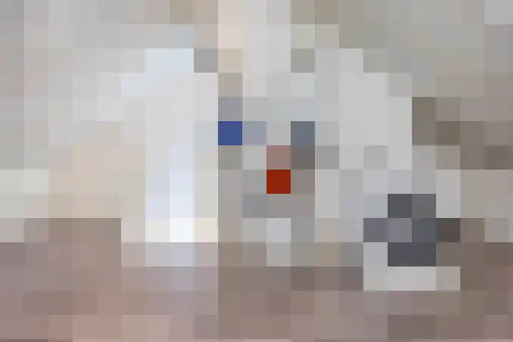 Hadewychstraat 55 Heesch thumbnail 19