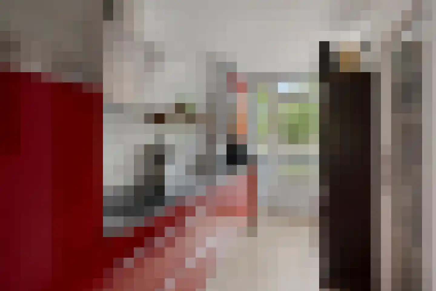Hadewychstraat 68 's-Hertogenbosch thumbnail 10