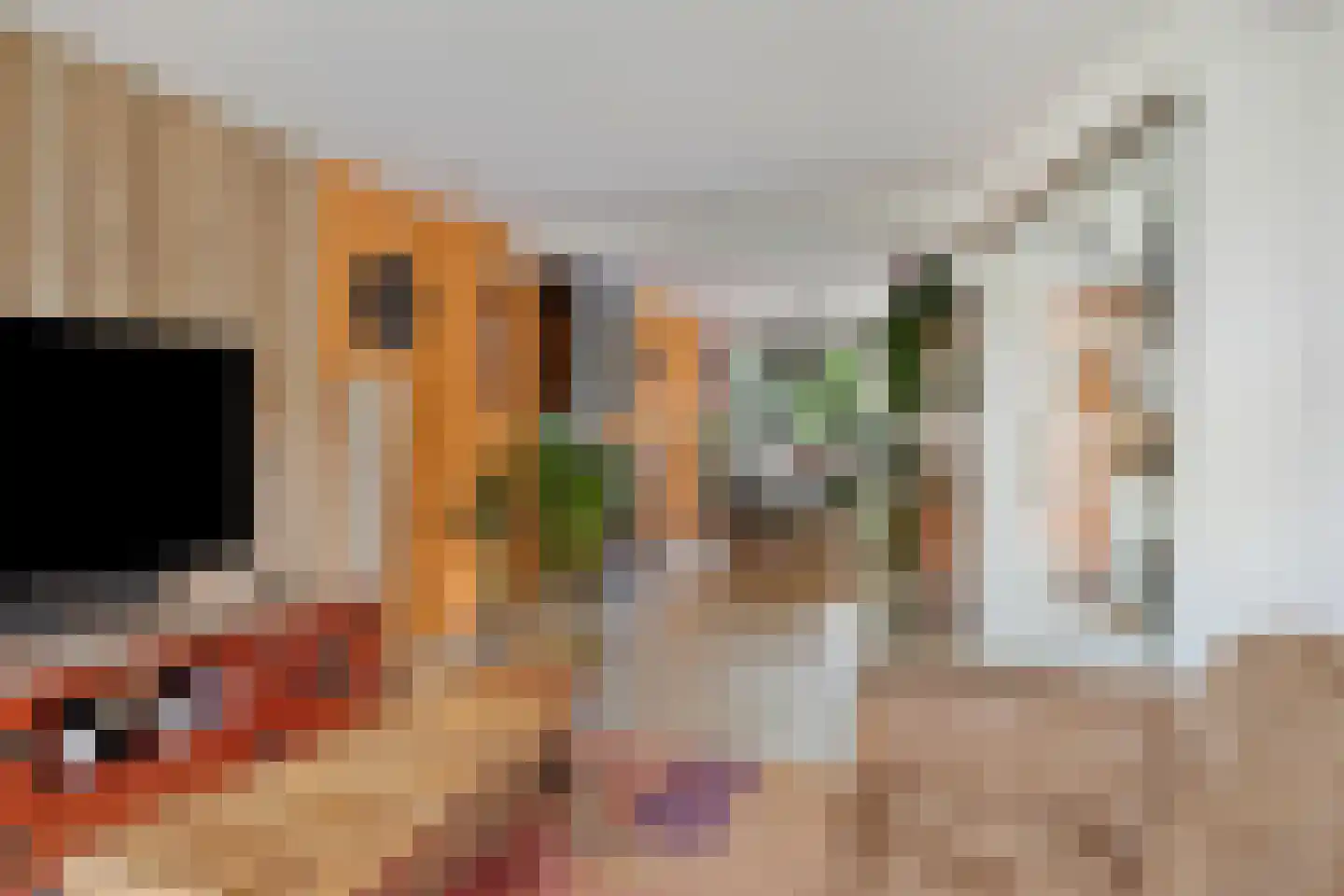 Hadewychstraat 68 's-Hertogenbosch thumbnail 6