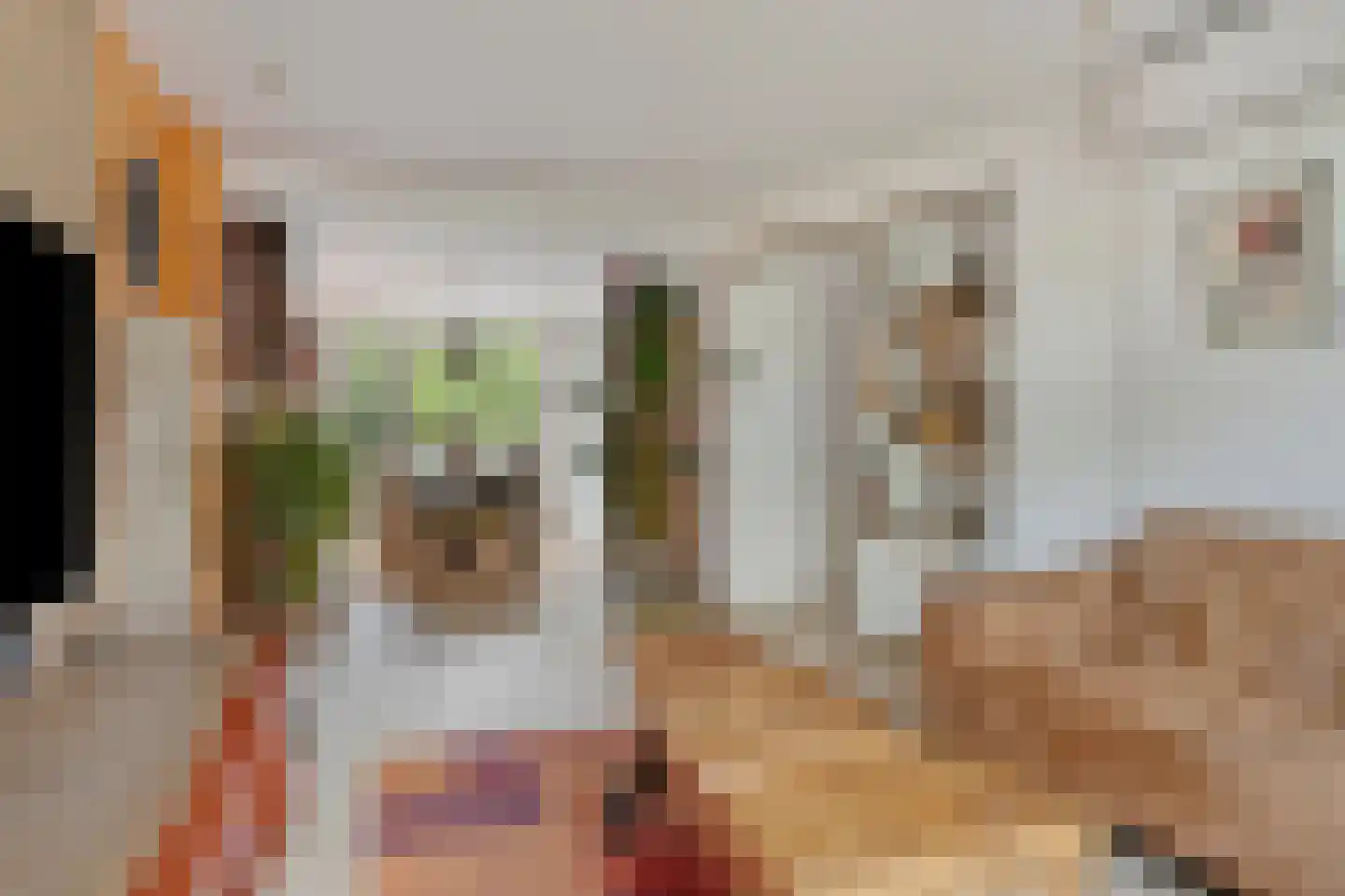 Hadewychstraat 68 's-Hertogenbosch thumbnail 7