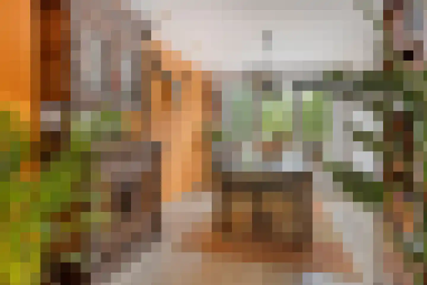 Hadewychstraat 68 's-Hertogenbosch thumbnail 8