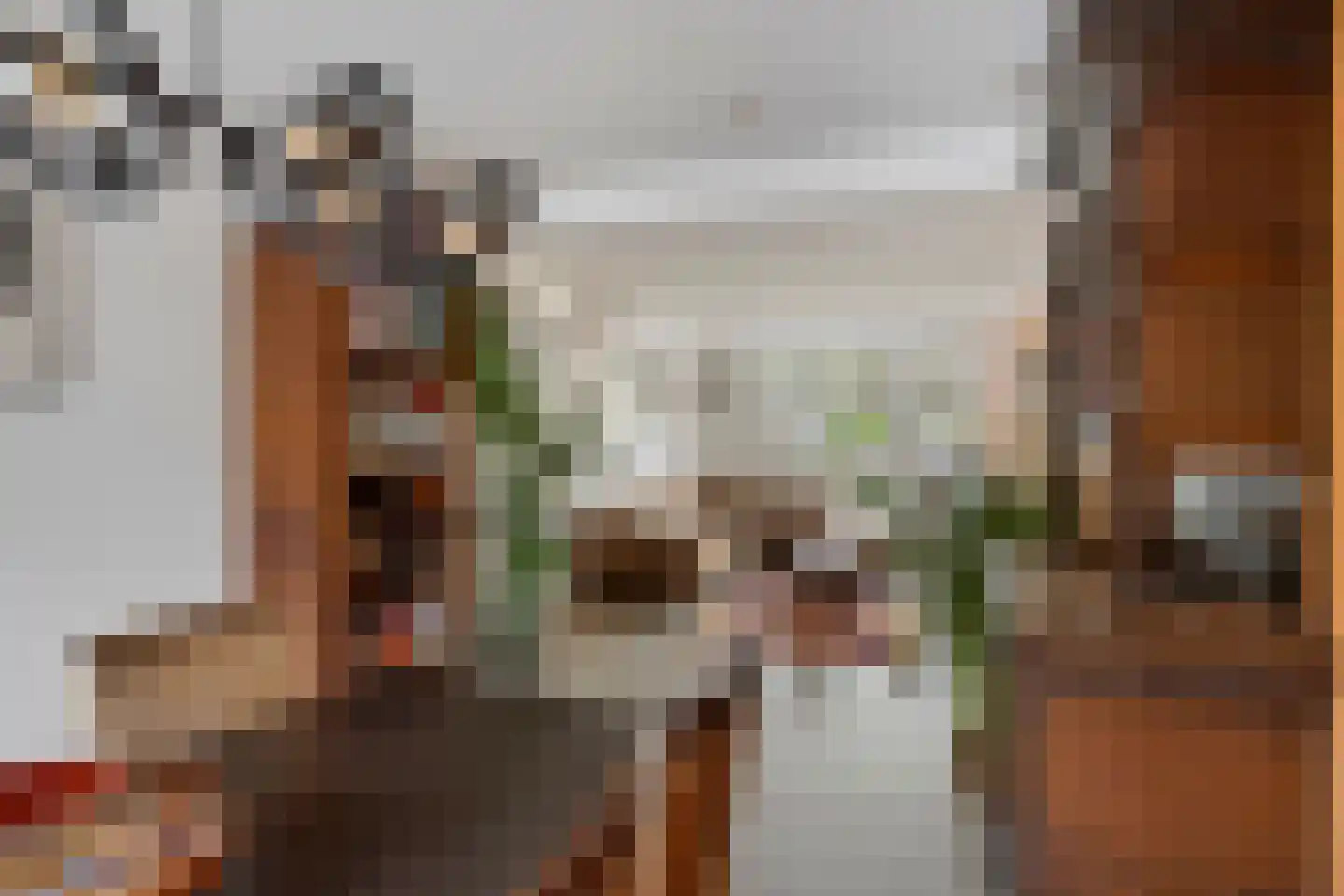 Hadewychstraat 68 's-Hertogenbosch thumbnail 9