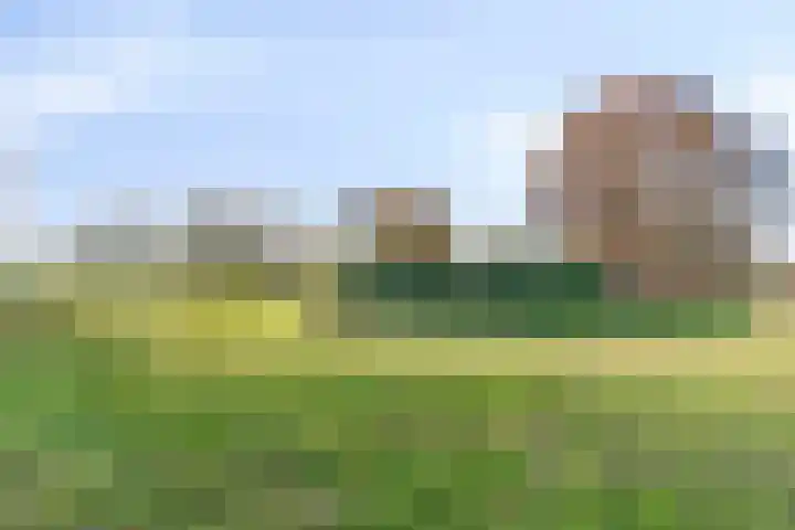 Hadewychstraat 74 's-Hertogenbosch thumbnail 19