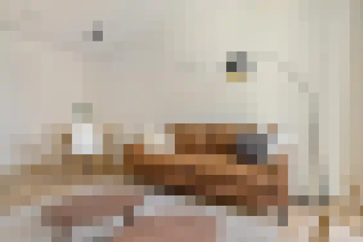 Hadidkade 66 Hoofddorp thumbnail 6