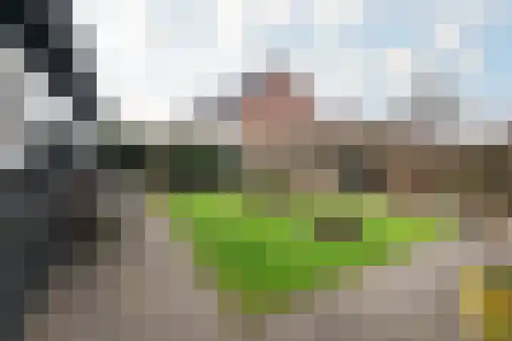 Hadleystraat 18 Aalsmeer thumbnail 4