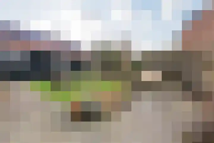 Hadleystraat 18 Aalsmeer thumbnail 5