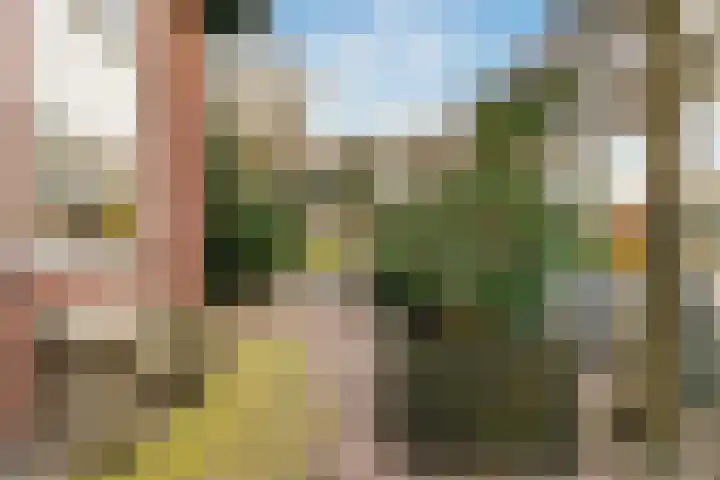 Hadleystraat 50 Aalsmeer thumbnail 30