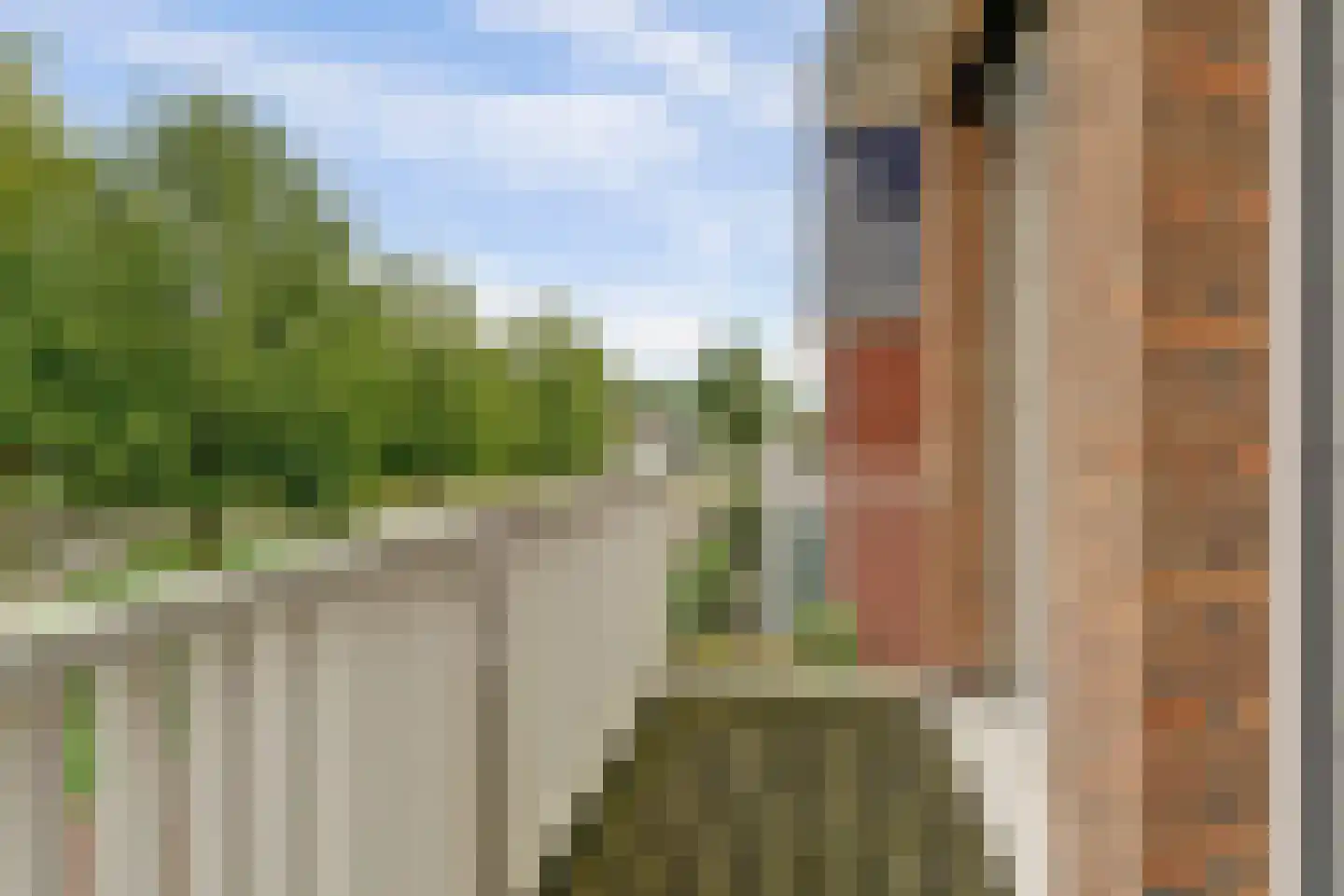 Hadrianus 20 Elst thumbnail 24