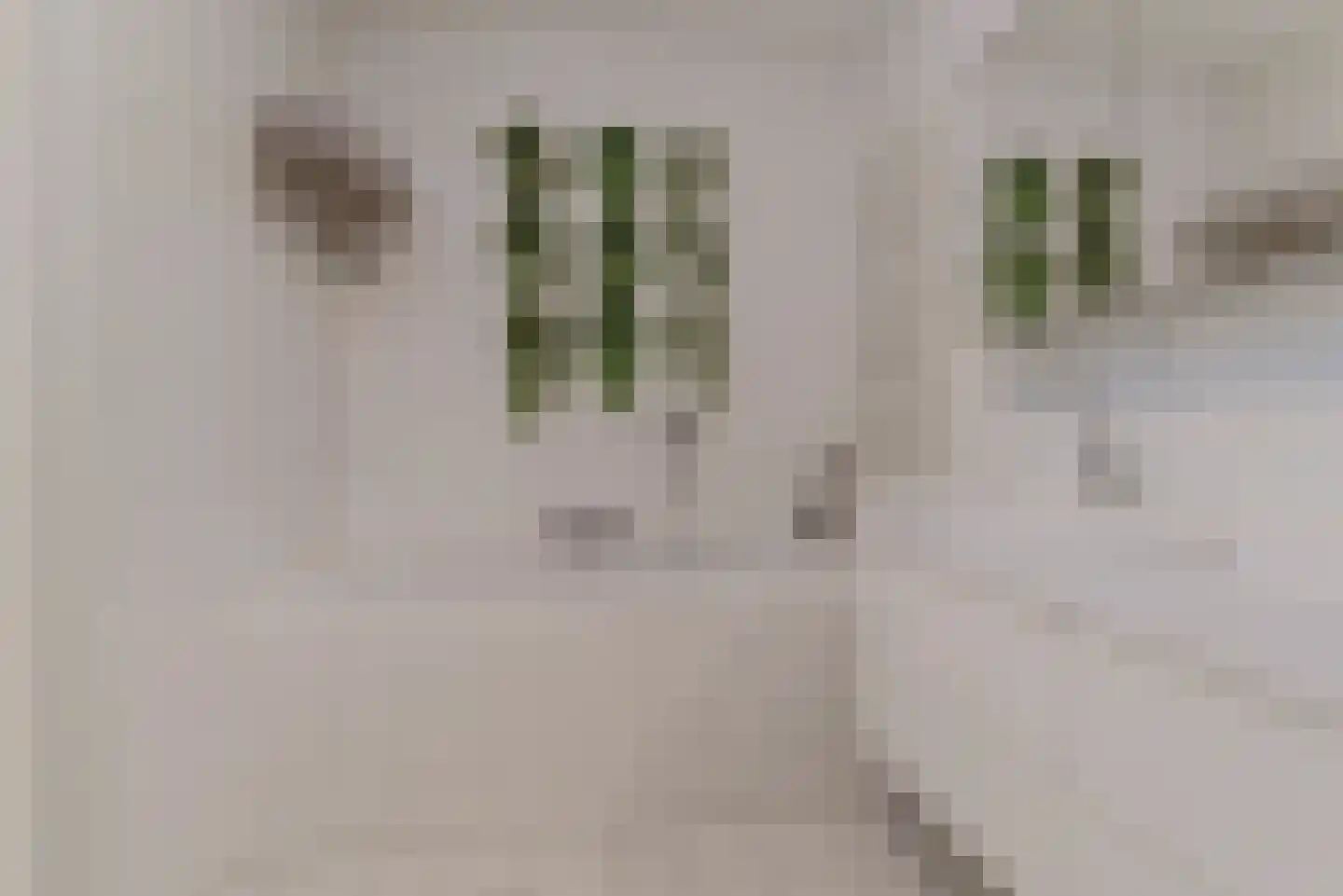 Hadrianus 20 Elst thumbnail 29