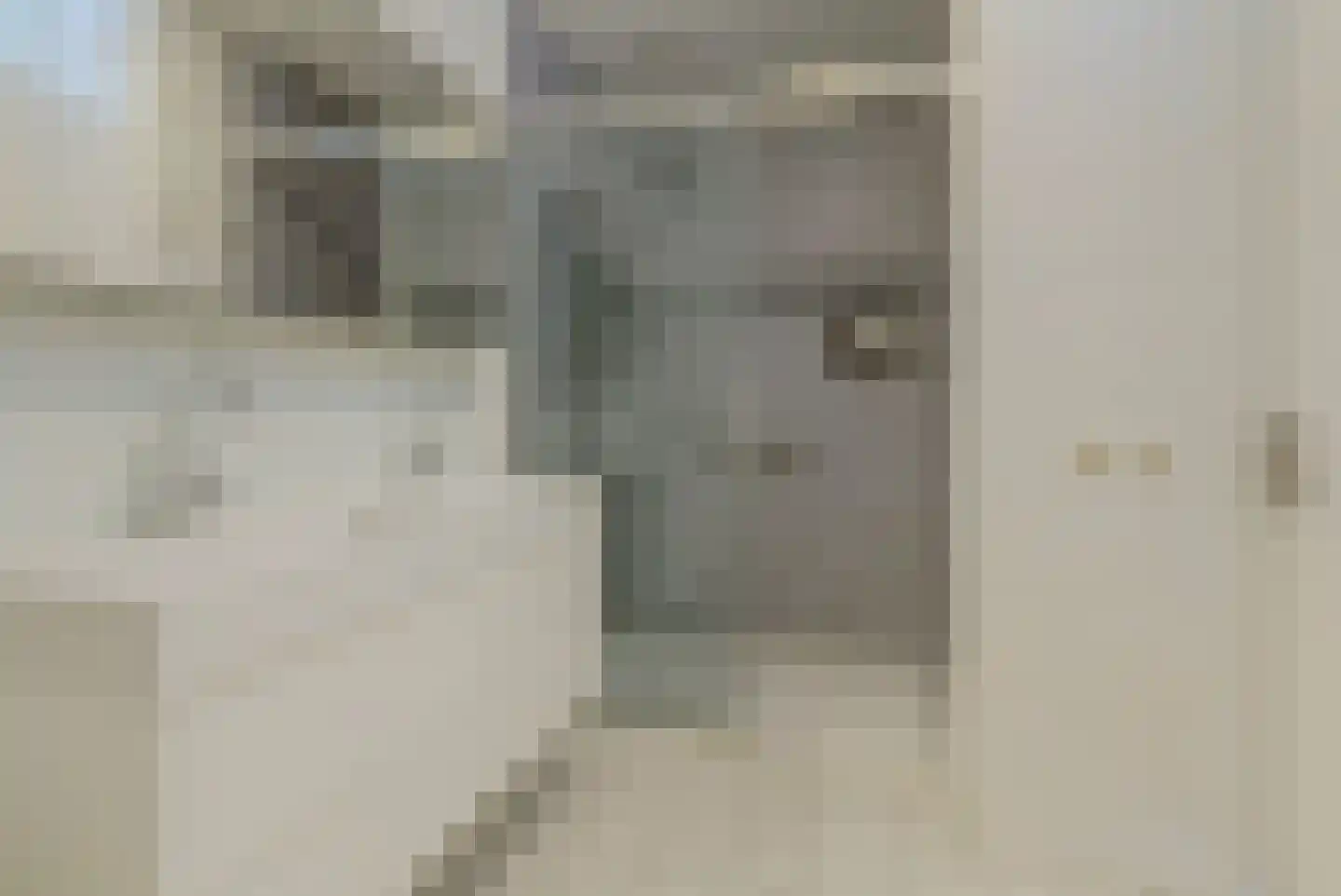 Hadrianus 20 Elst thumbnail 30