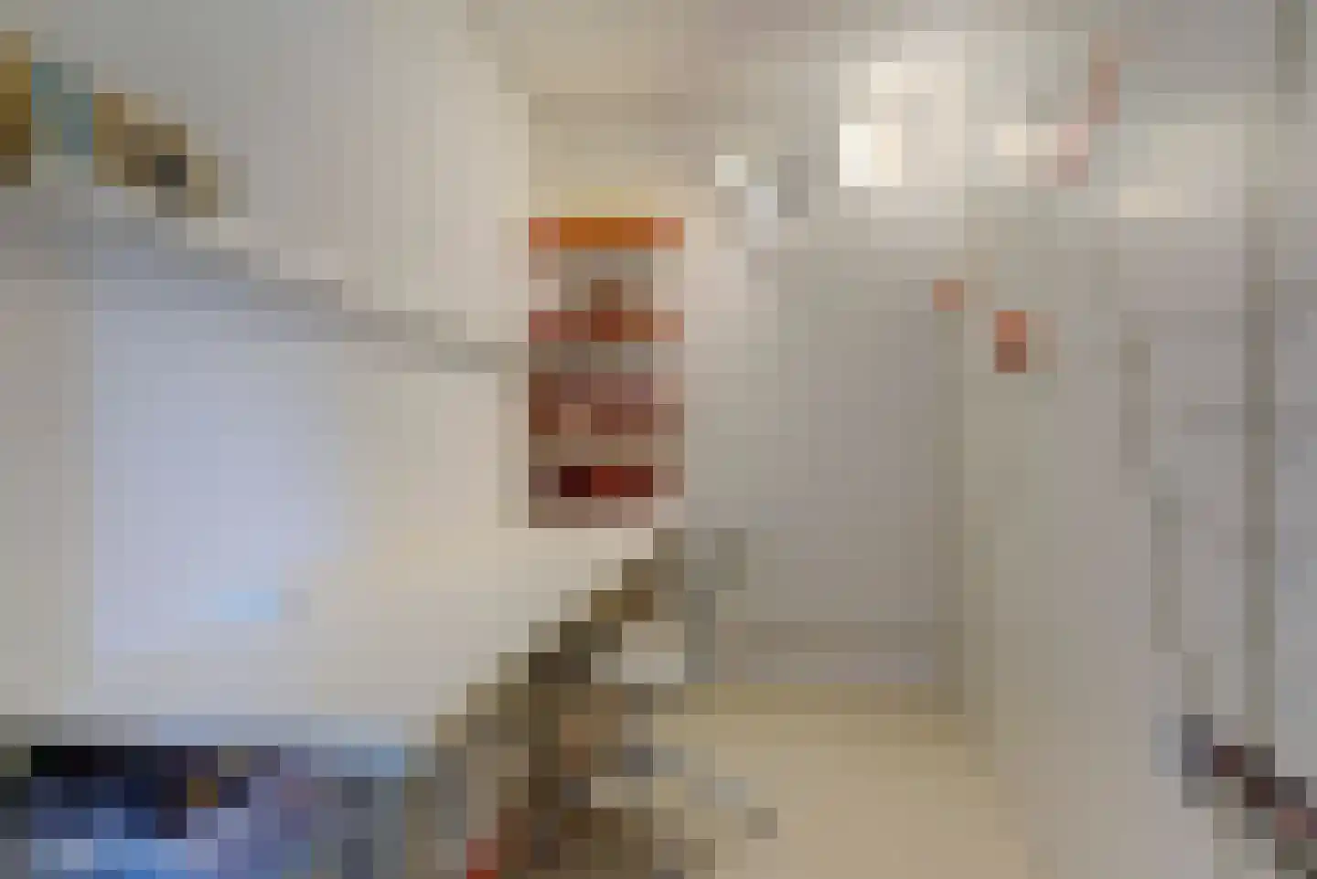 Hadrianus 20 Elst thumbnail 34