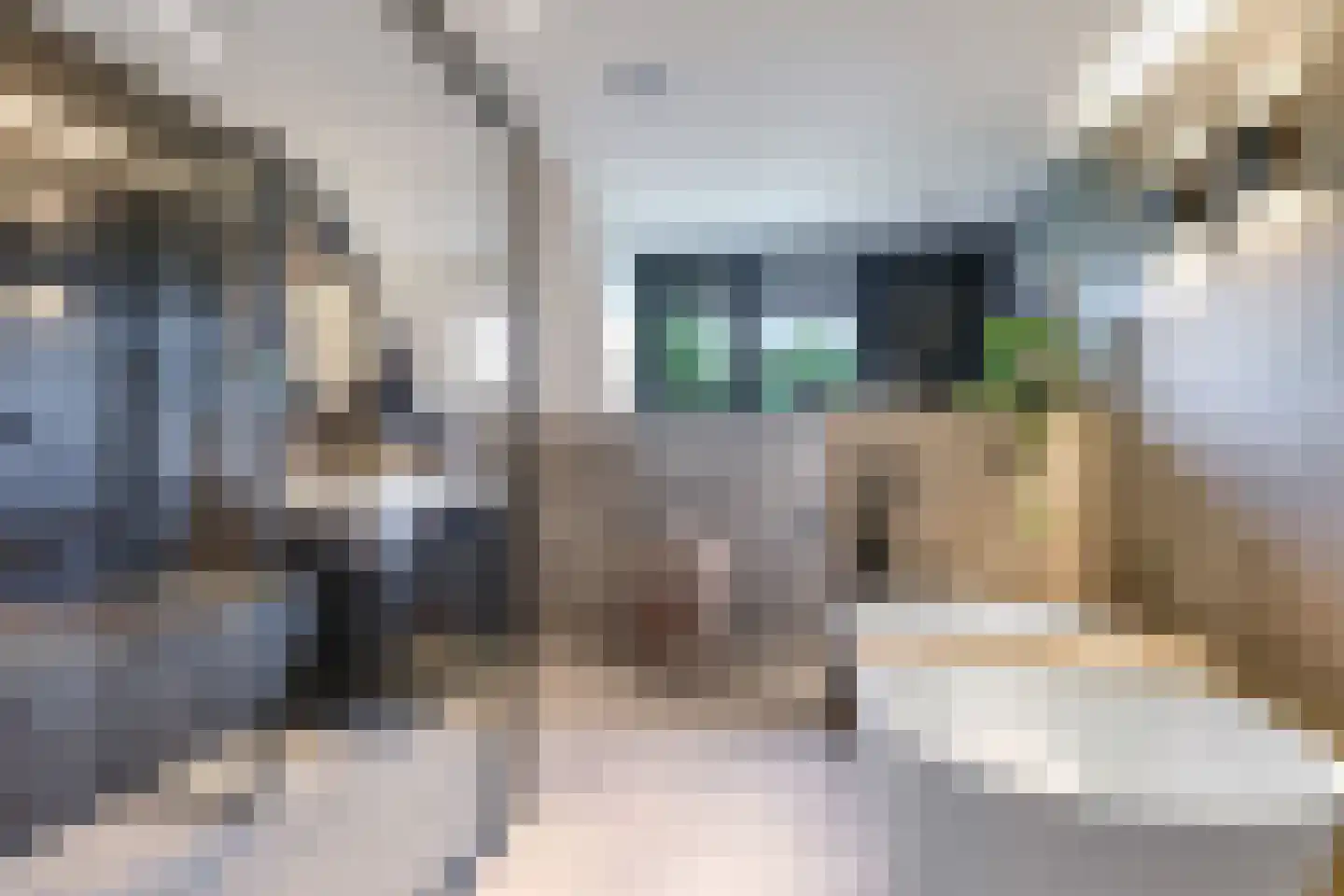Hadrianussingel 8 Beuningen Gld thumbnail 36