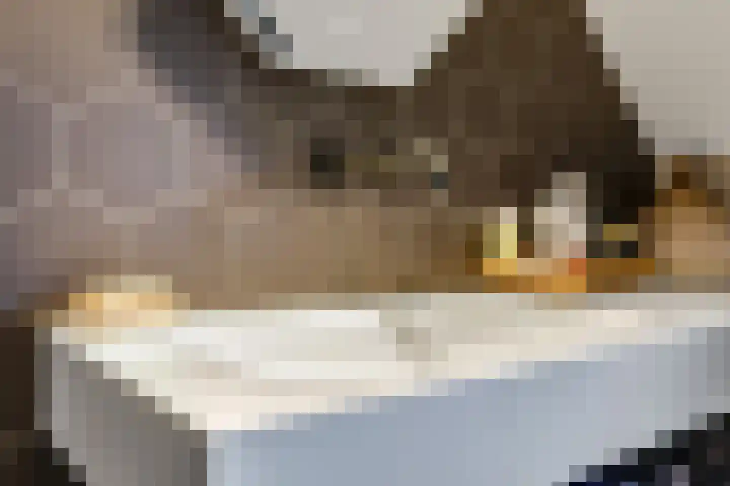 Hadrianussingel 8 Beuningen Gld thumbnail 38