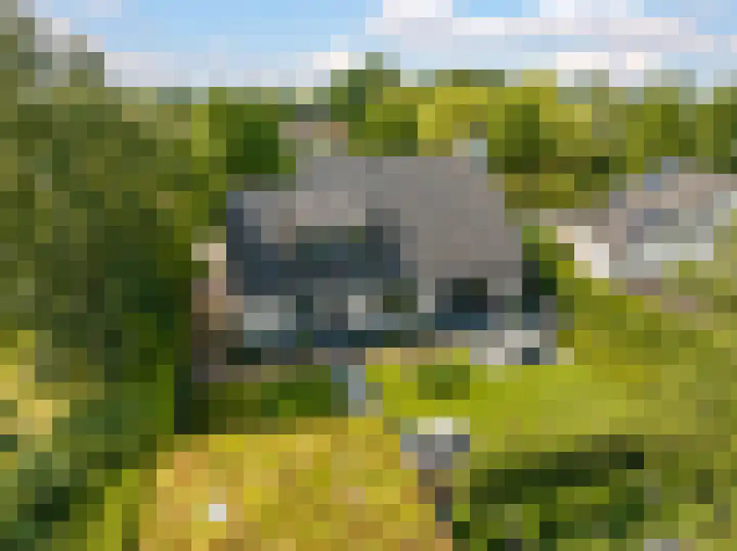 Hadrianussingel 8 Beuningen Gld thumbnail 59