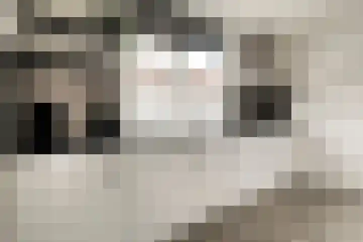 Haeckmate 100 Zwolle thumbnail 13
