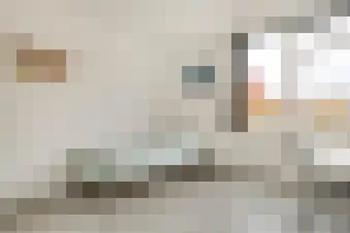 Haeckmate 100 Zwolle thumbnail 22