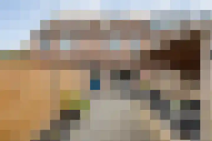 Haeckmate 100 Zwolle thumbnail 32