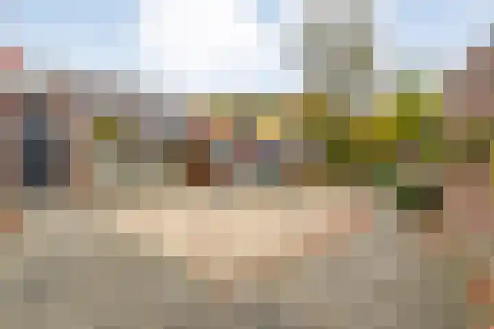 Haeckmate 100 Zwolle thumbnail 39