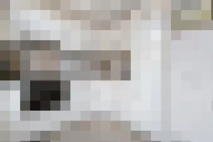 Haeckmate 16 Zwolle thumbnail 12