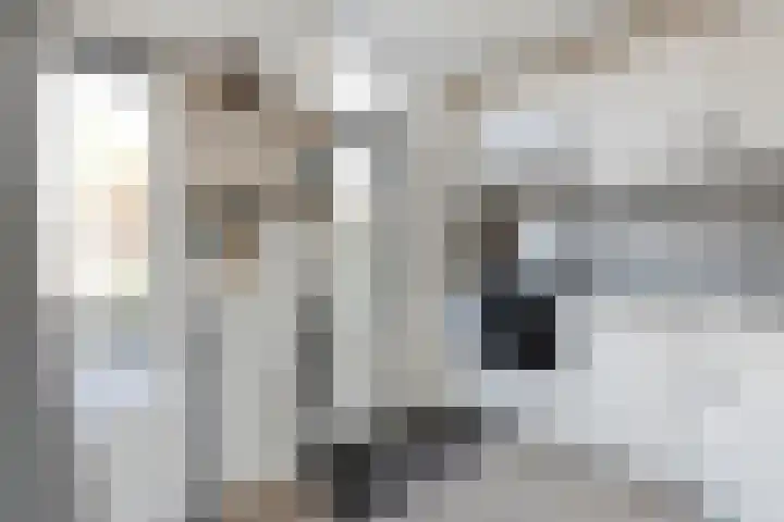Haeckmate 16 Zwolle thumbnail 13