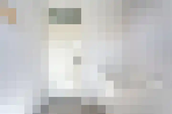 Haeckmate 16 Zwolle thumbnail 16