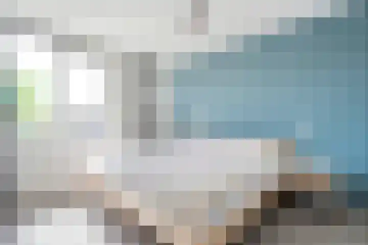 Haeckmate 16 Zwolle thumbnail 17