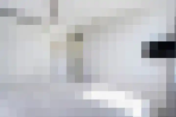 Haeckmate 16 Zwolle thumbnail 18