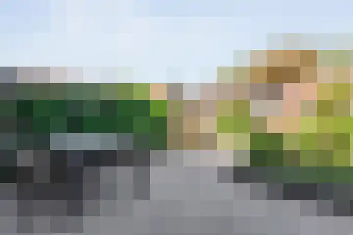 Haeckmate 16 Zwolle thumbnail 28