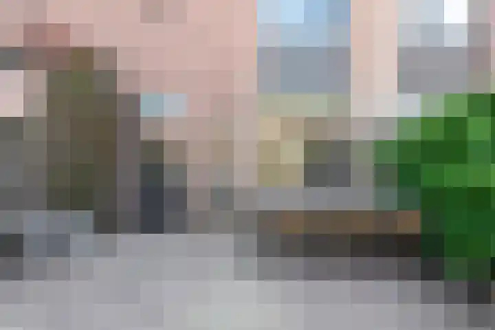 Haeckmate 16 Zwolle thumbnail 29