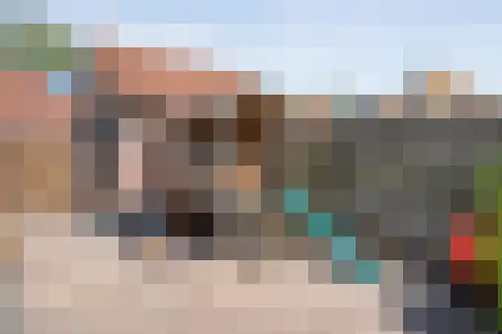 Haeckmate 16 Zwolle thumbnail 31