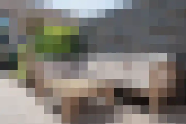 Haeckmate 16 Zwolle thumbnail 32
