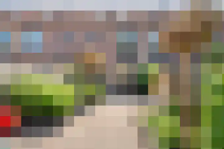 Haeckmate 16 Zwolle thumbnail 33
