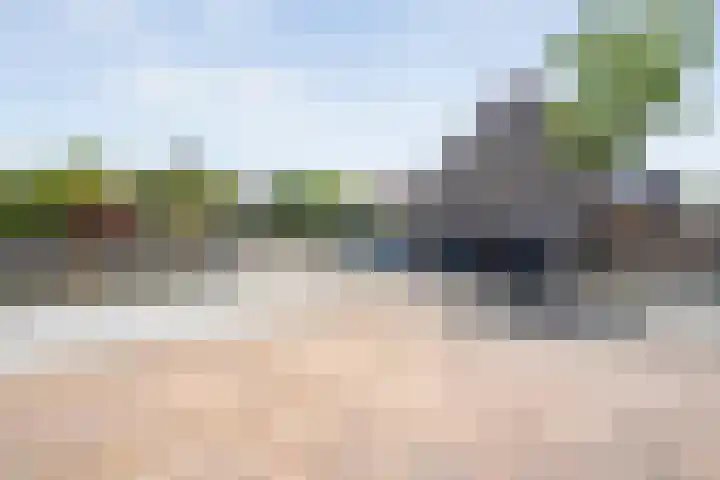 Haeckmate 16 Zwolle thumbnail 34