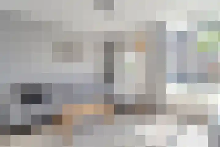 Haeckmate 16 Zwolle thumbnail 7
