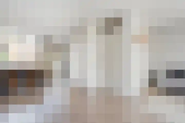 Haeckmate 16 Zwolle thumbnail 9