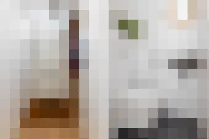 Haeckmate 2 Zwolle thumbnail 10