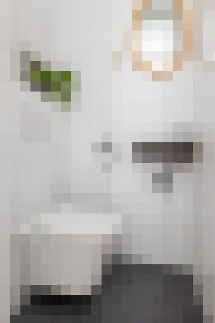 Haeckmate 2 Zwolle thumbnail 11
