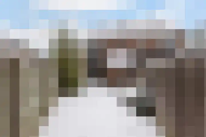 Haeckmate 2 Zwolle thumbnail 12