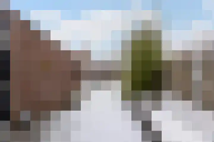 Haeckmate 2 Zwolle thumbnail 13