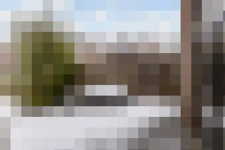 Haeckmate 2 Zwolle thumbnail 15