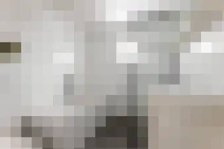 Haeckmate 2 Zwolle thumbnail 19