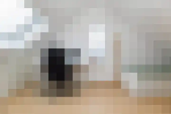 Haeckmate 2 Zwolle thumbnail 21
