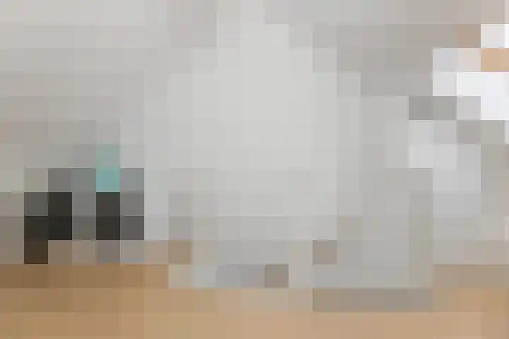 Haeckmate 2 Zwolle thumbnail 22