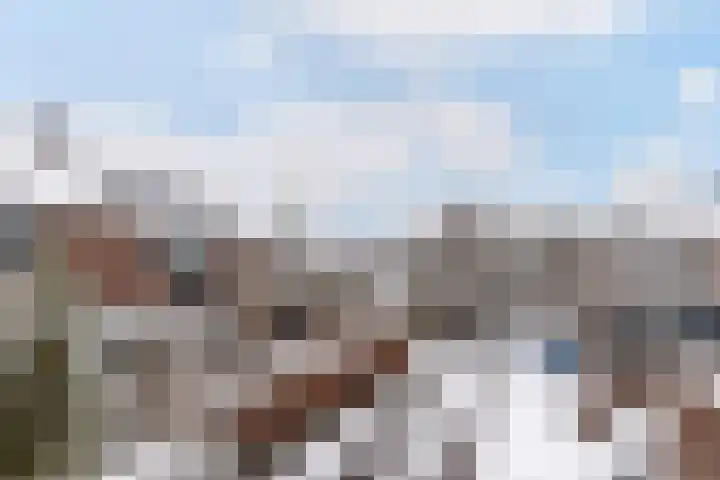Haeckmate 2 Zwolle thumbnail 26